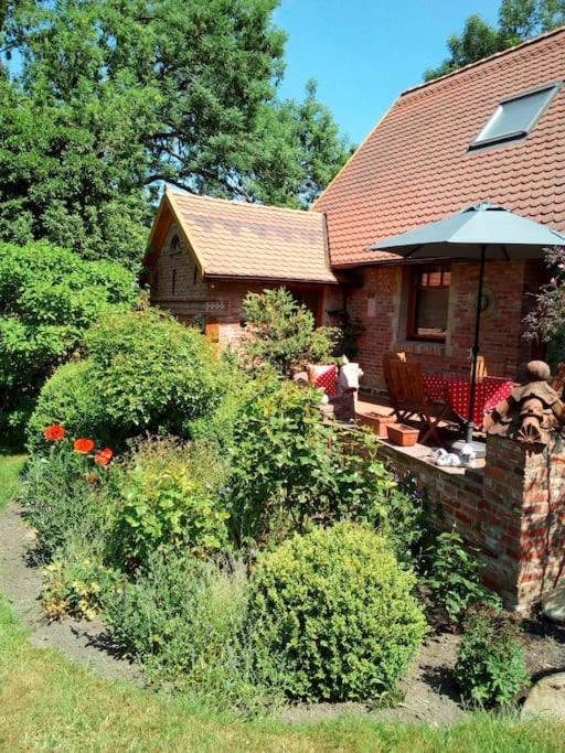 Ferienhaus Rosengarten Loxstedt ภายนอก รูปภาพ