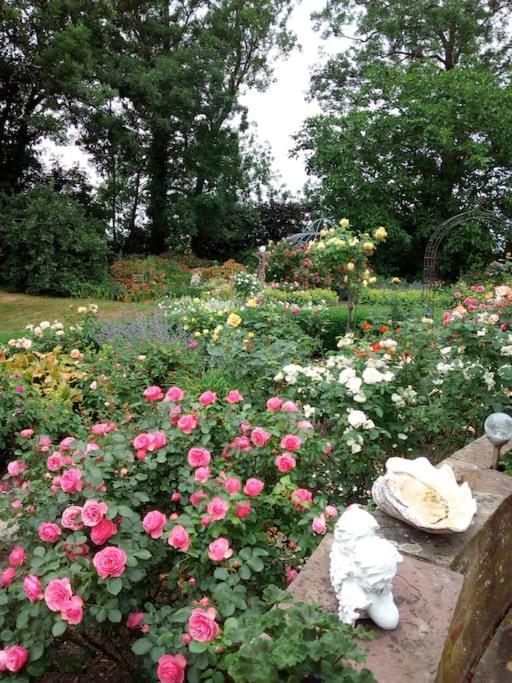 Ferienhaus Rosengarten Loxstedt ภายนอก รูปภาพ